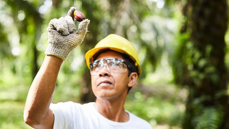 Photo of man with hard hat holding a nut