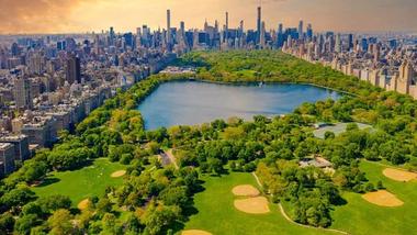 Aerial view of Central park