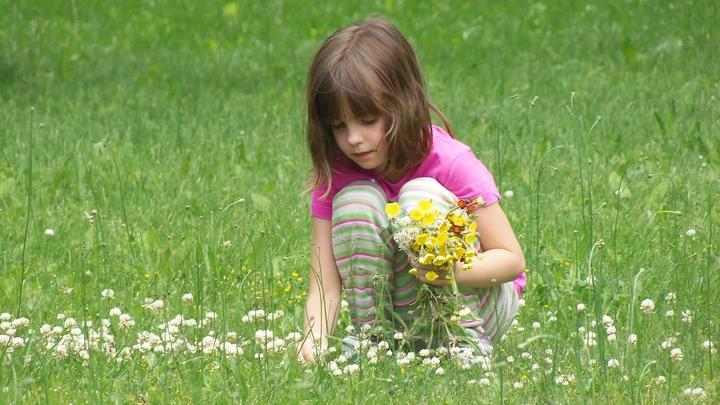 Child picking flowers in grass field