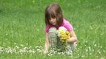 Child picking flowers in grass field
