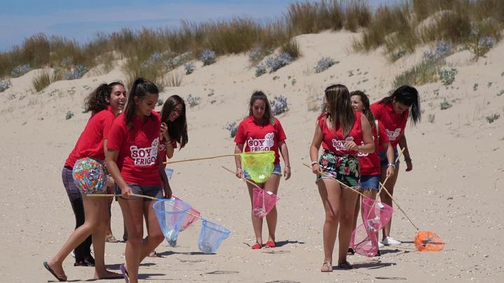 Beach cleaning
