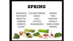Seasonal Spring Produce chart ( List of Vegetables )