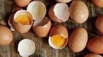Hellmann's sustainable practices - eggs