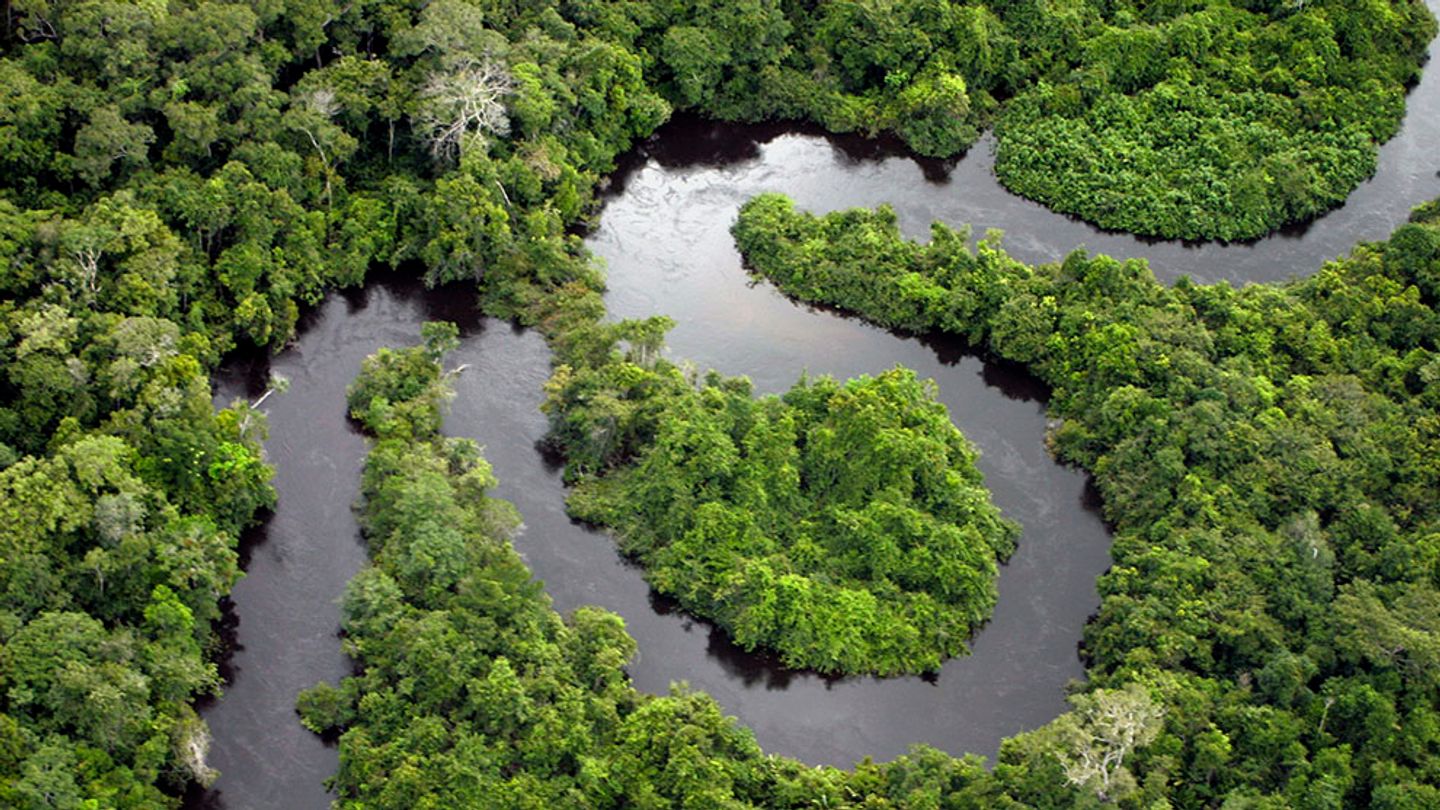 A river winding through the rainforest