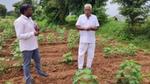 A pic taken in a vegetable farm where a man is interacting with a farmer 