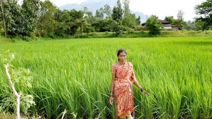 Hindustan Unilever Foundation farmer beneficiary