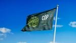 COP28 Flag