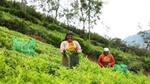 Leder hållbar livsmedelsproduktion enligt Oxfam