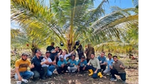 A group of farmers seated on the ground, doing the thumbs up pose. Behind them is a dwarf coconut tree