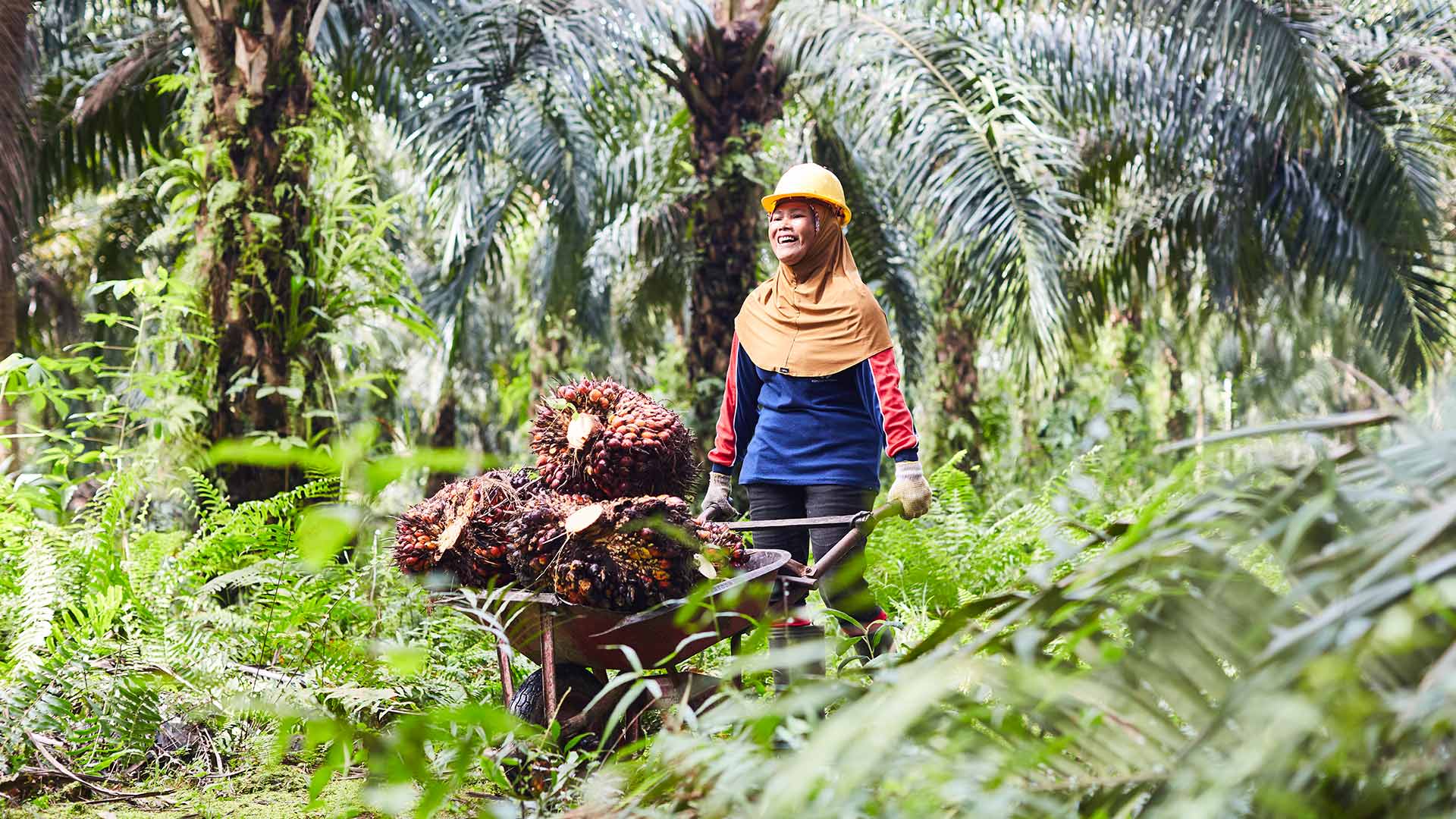 Sustainable Palm Oil | Unilever