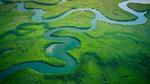 Aerial view of river flowing through rainforest