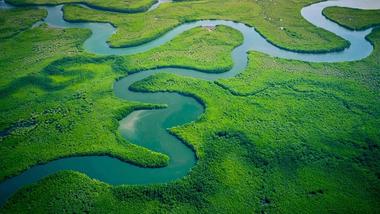 Bird’s-eye view of river flowing through forest