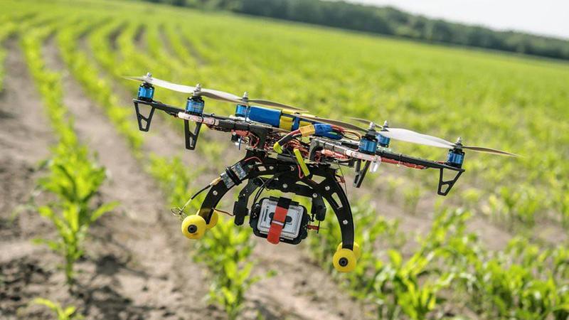 Những chiếc drone từ OMO giúp mang hạt mầm đến những cánh rừng quốc gia ở miền Trung