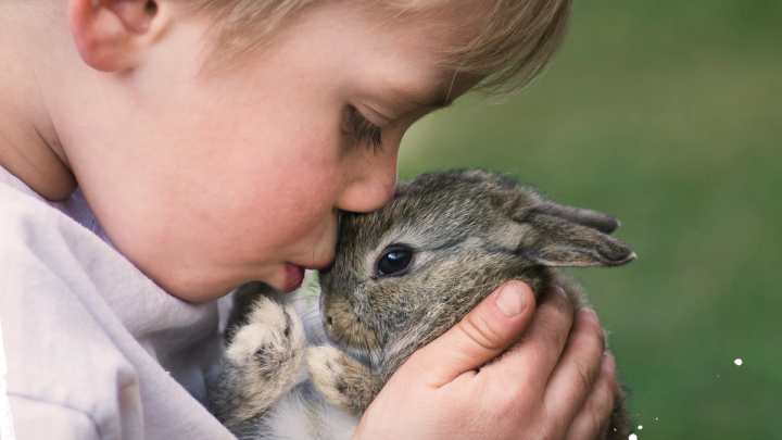 A little boy kissing a rabbit on the nose. The image is from Persil's Dirt is Good/Use science not animals campaign.
