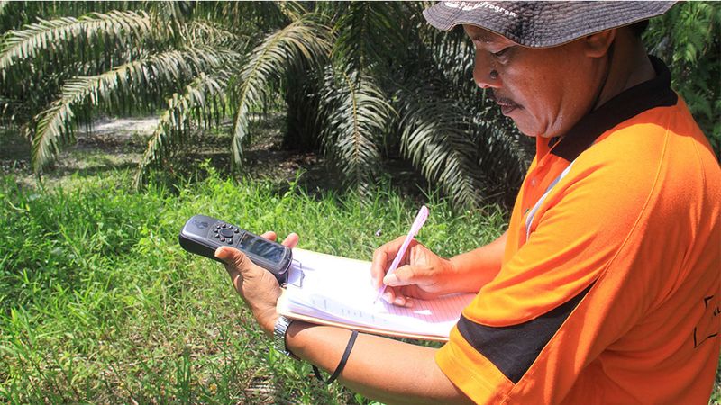 FID - Palm oil production