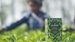 A photograph of a box of pukka supreme matcha green tea in a field of tea