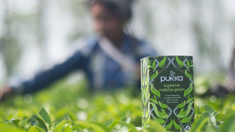 A photograph of a box of pukka supreme matcha green tea in a field of tea