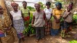 A group of women cocoa farmers