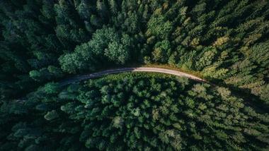 Arial photo of an empty country road curving through the centre of a dense green forest.