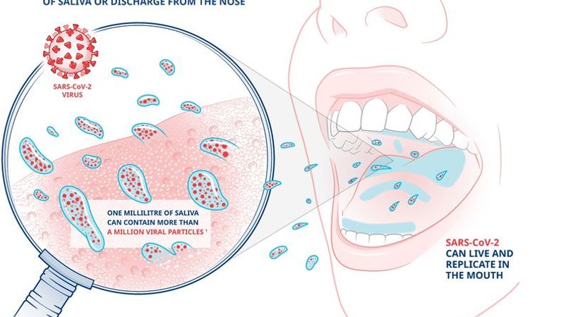 A diagram illustrating how Covid-19 is spread primarily through droplets of saliva or discharge from the nose