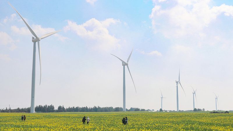 Wind turbines stand in a field with people watching them