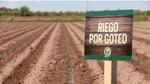 Riego por goteo en Planta Mendoza de Unilever