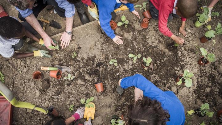 Image of people planting in soil