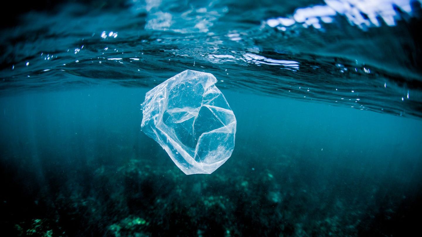 A photograph of a plastic bag floating through the ocean.