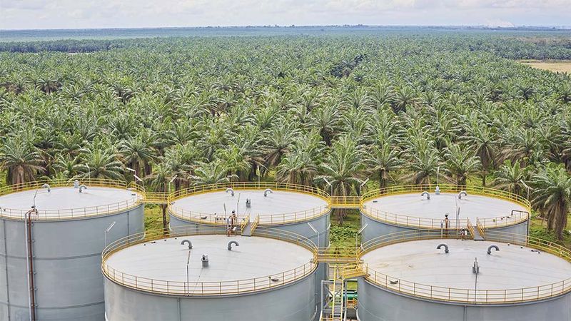 Feature image - palm oil factory