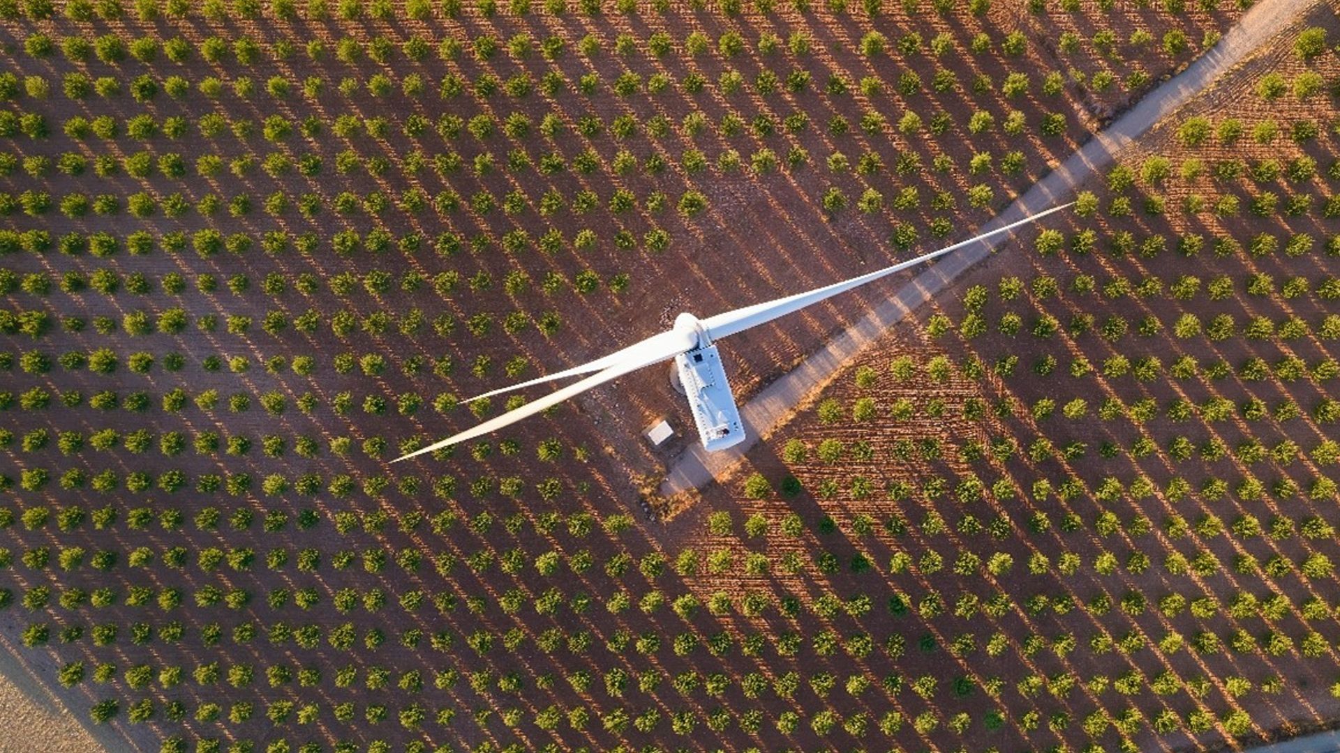 Arial photo of a wind turbine in an agricultural field.