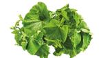An image of Leafy greens