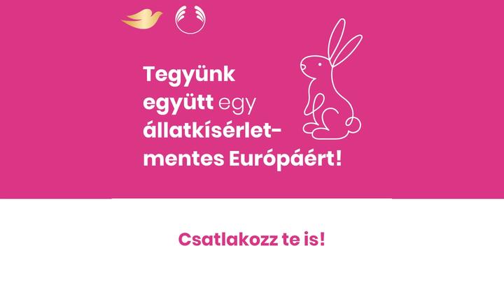 rózsaszín háttéren szöveg, nyuszi grafika és logók