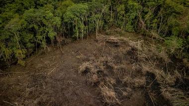 Deforestation in the Amazon Rainforest in Columbia