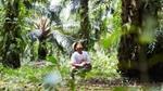 Man squatting down amongst palm trees