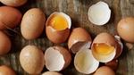 Uova e gusci d’uovo su una tavola di legn