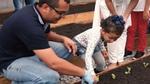 Man and young girl planting lettuce plants in our onsite garden at Pouso Alegre, Brazil.