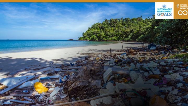 Plastic waste on a beach