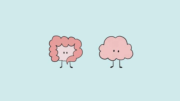 Cartoon loop of a brain and a gut with faces,mirroring each others expressions