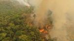 Arial photo of a fire in the Amazon rainforest
