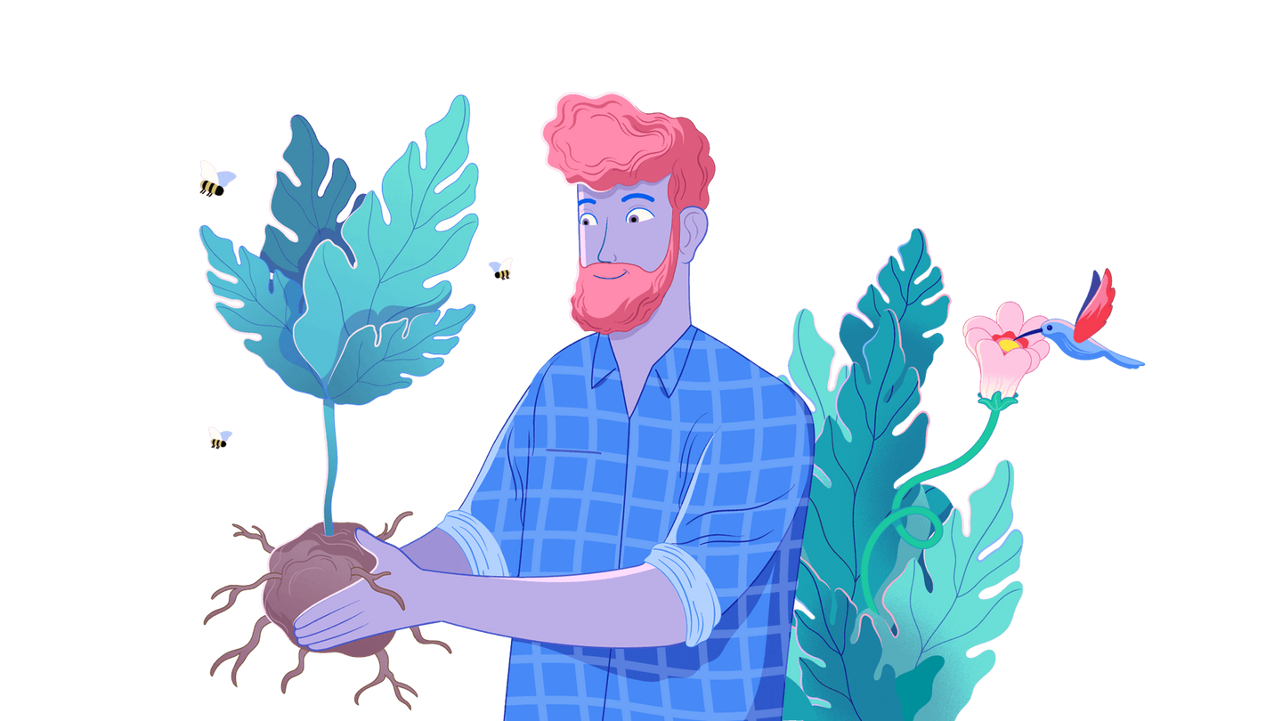 Illustration of a man holding a seedling
