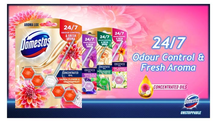 Domestos Odour Control & Fresh Aroma