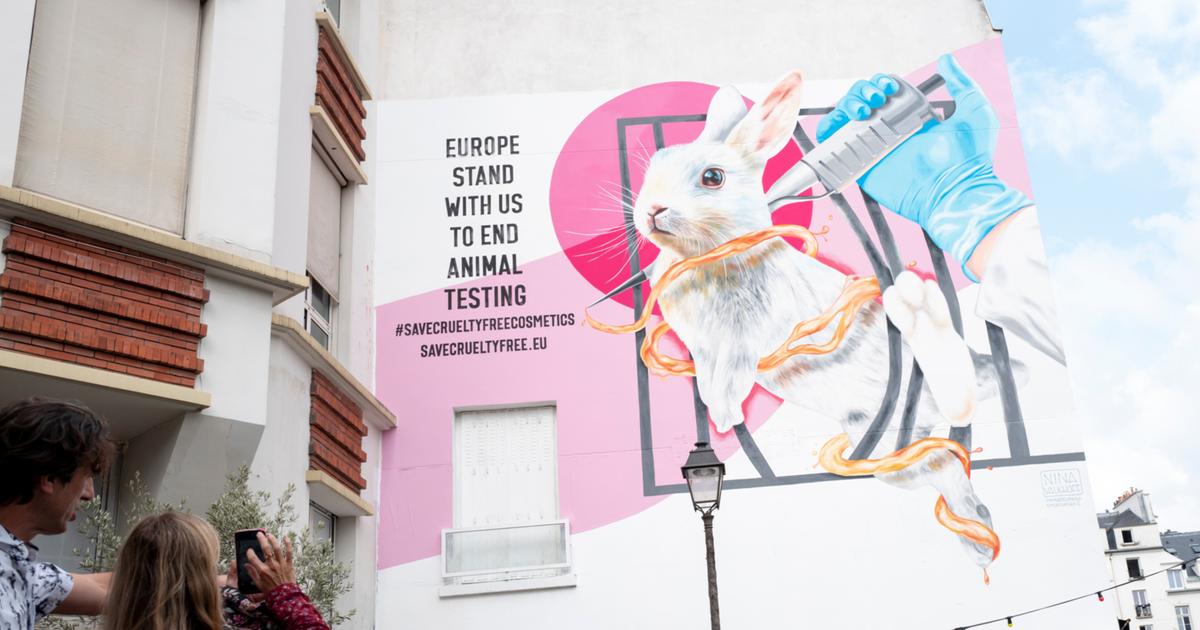 Over 1 million signatures opposing new animal tests. What next? | Unilever
