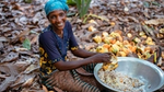 A female farmer looks at the camera and smiles whilst sorting cocoa beans in a bowl