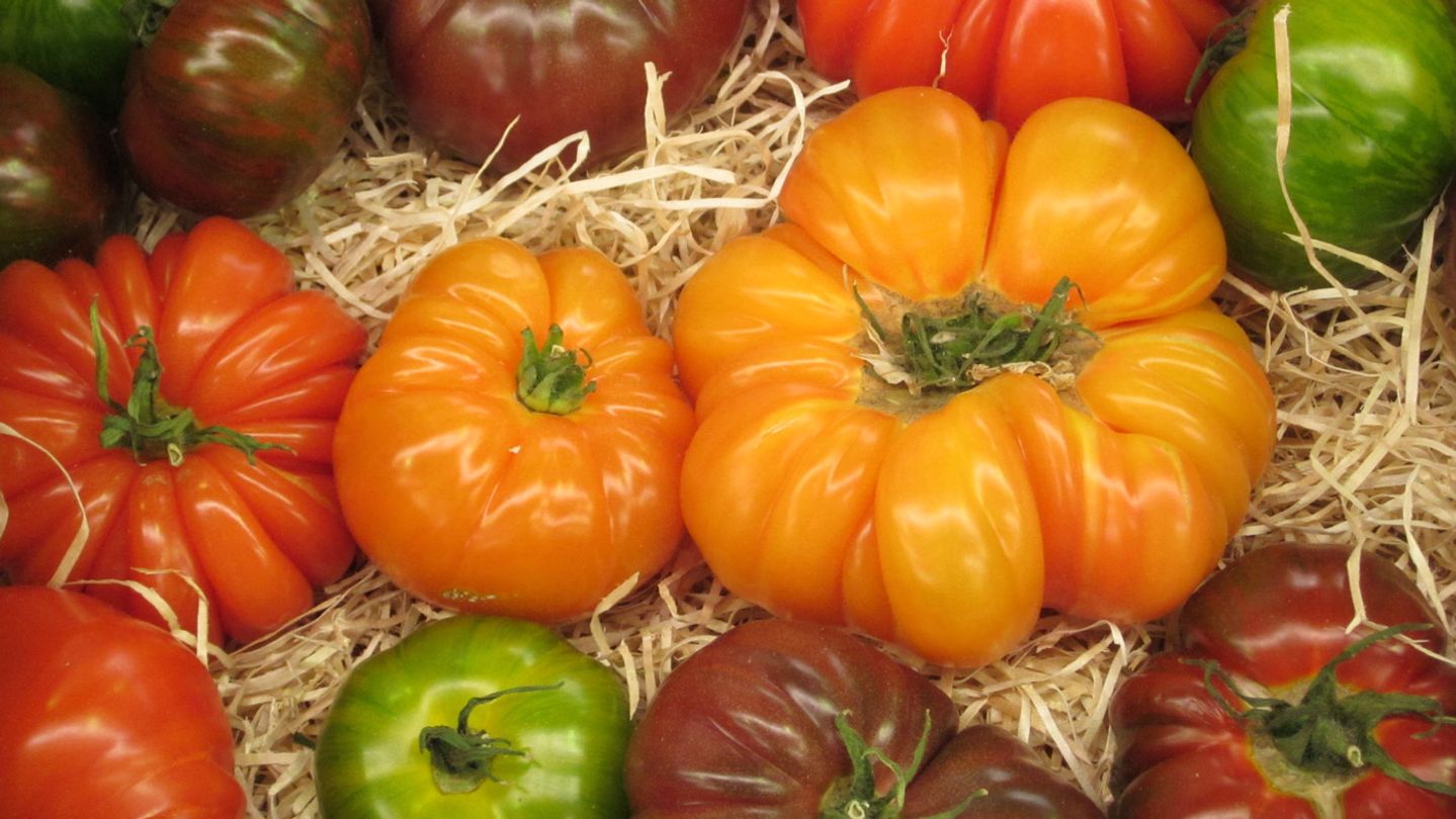 A selection of tomatos