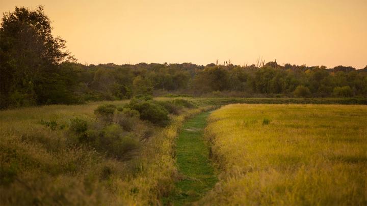 Image of a field in sunset