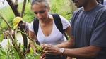 Dr Siobhan Gardiner working with vanilla farmers in Madagascar. 