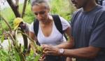 Dr Siobhan Gardiner working with vanilla farmers in Madagascar. 