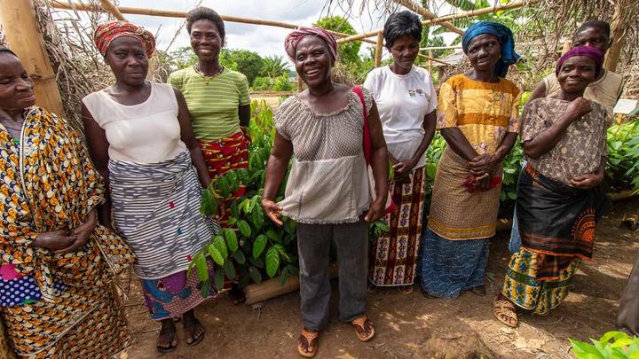 A group of women cocoa farmers. 