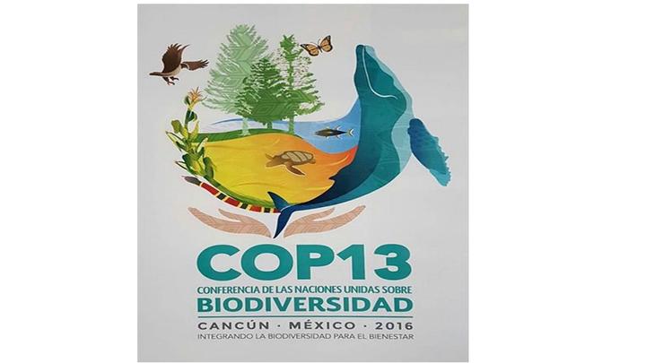 Logotipo COP13 2016