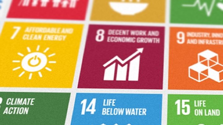 An image of the sustainable development goals by UN